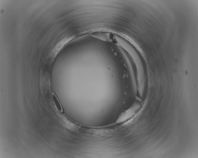 X0000070361289200606231613