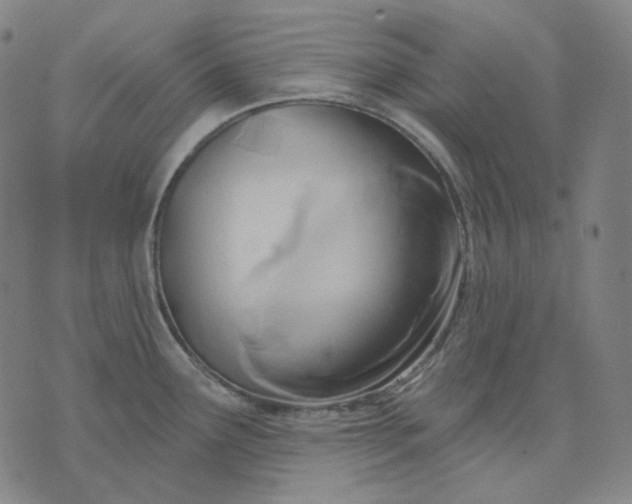 X0000070361291200606231613