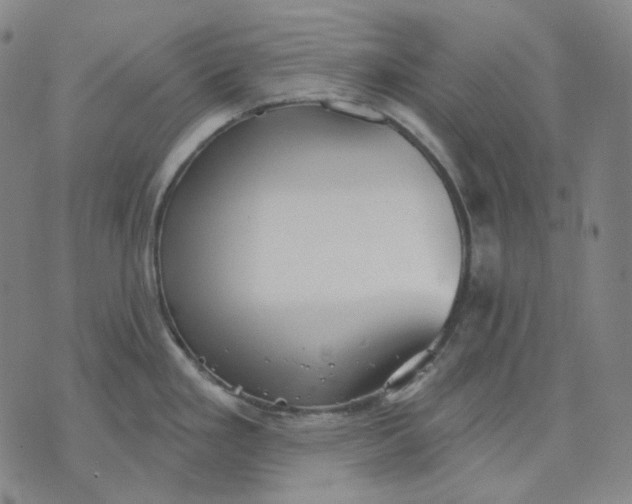 X0000070361293200606231613