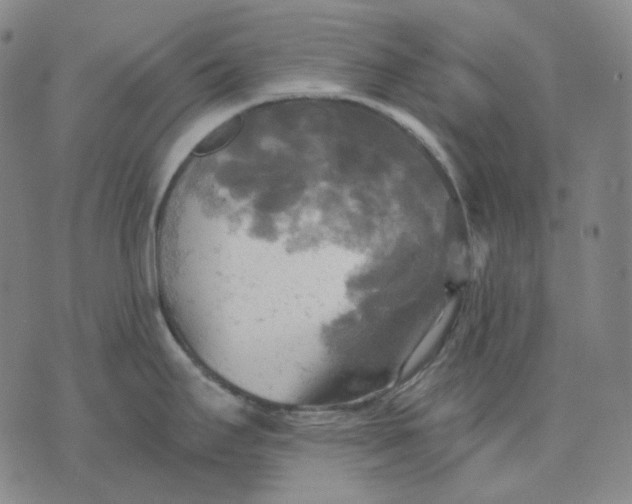 X0000070361295200606231613