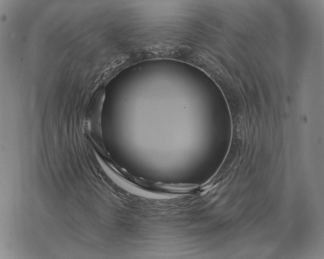 X0000070361298200606231612