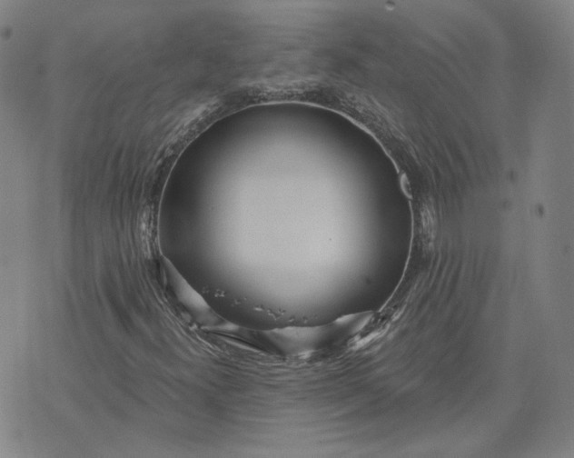 X0000070361300200606231612