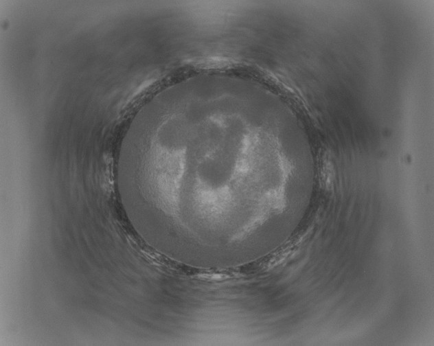 X0000070361301200606231612