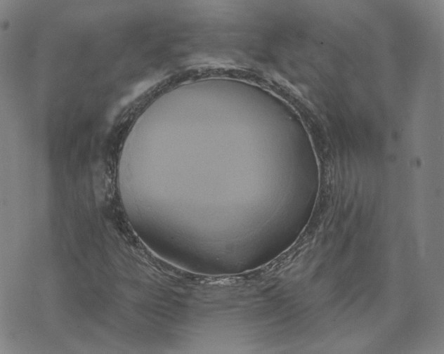 X0000070361303200606231612