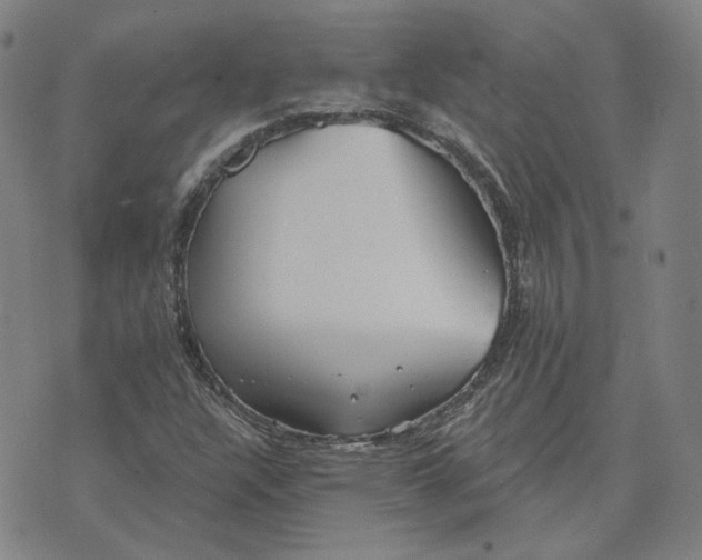 X0000070361304200606231612