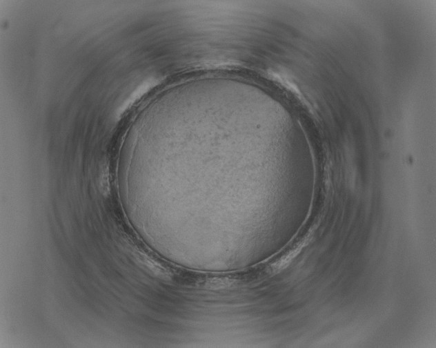 X0000070361306200606231612