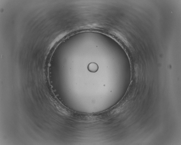 X0000070361308200606231612