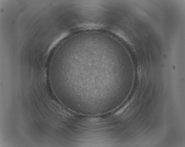 X0000070361309200606231612