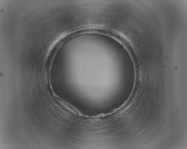 X0000070361310200606231612