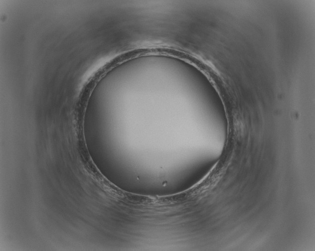 X0000070361311200606231612