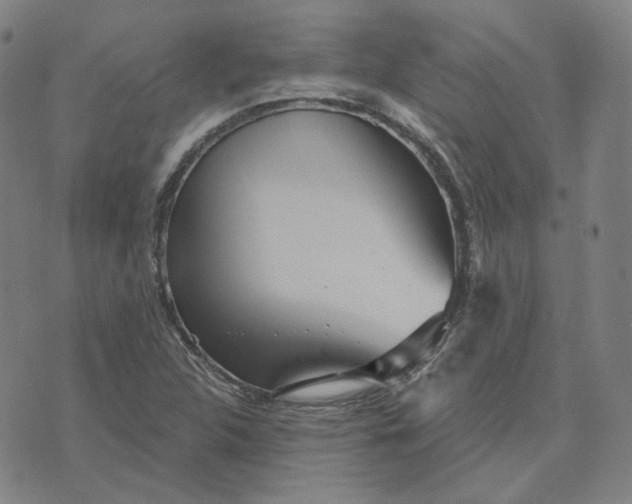 X0000070361312200606231612