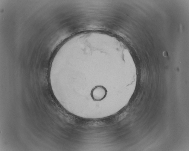 X0000070361314200606231612