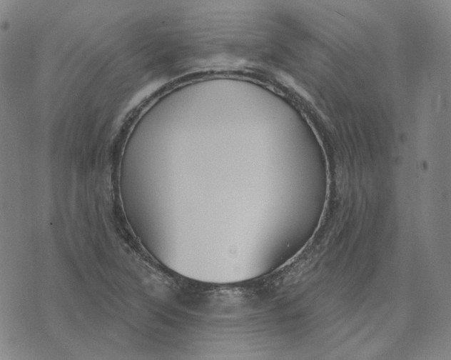 X0000070361315200606231612