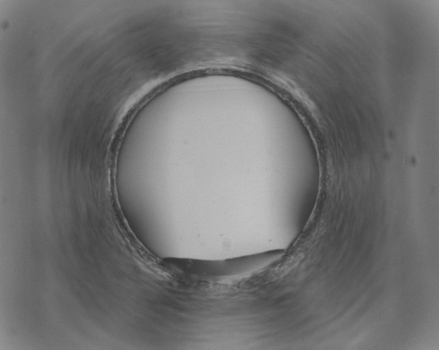 X0000070361316200606231612