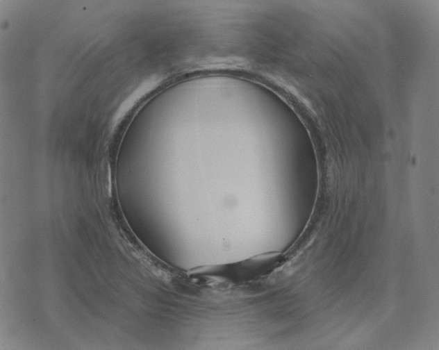 X0000070361317200606231612