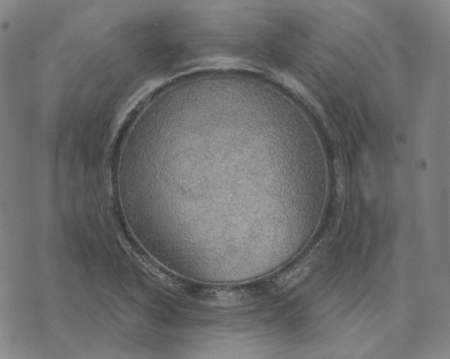 X0000070361318200606231612