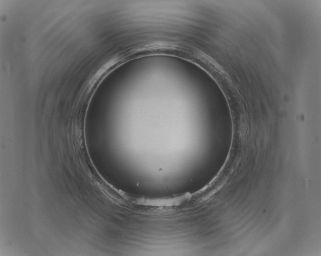 X0000070361321200606231612