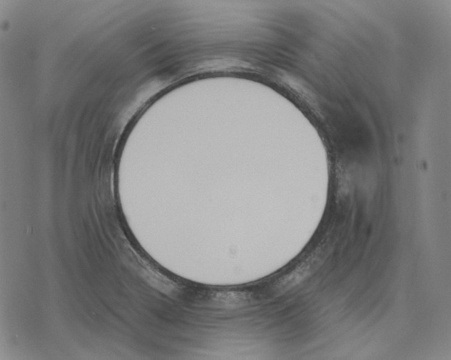 X0000070361322200606231612