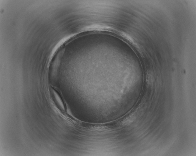 X0000070361323200606231612