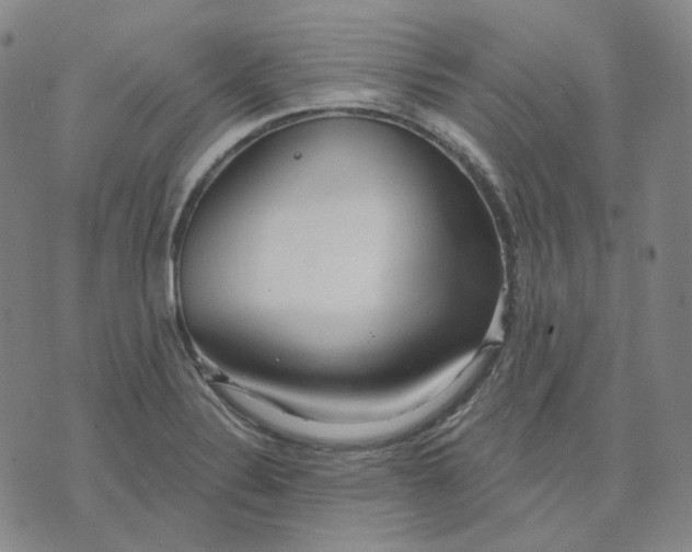 X0000070361324200606231612