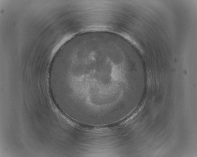 X0000070361325200606231612