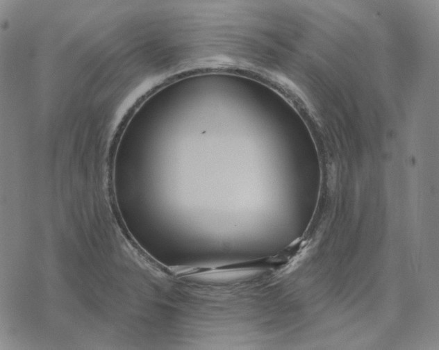 X0000070361326200606231612