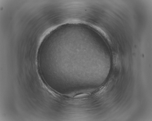 X0000070361327200606231612