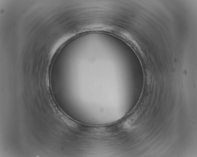 X0000070361328200606231612