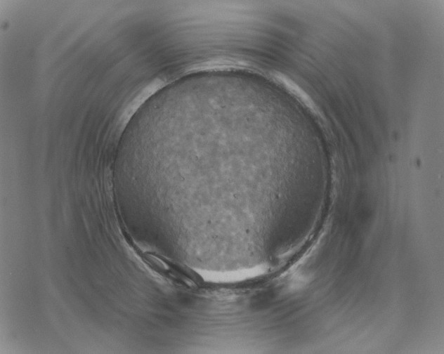 X0000070361329200606231612