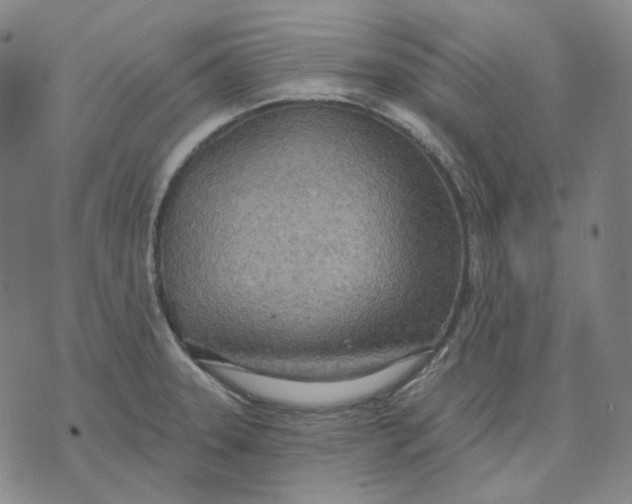 X0000070361331200606231613