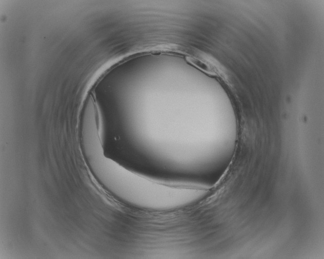 X0000070361332200606231613