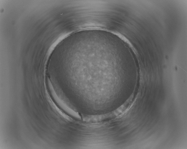 X0000070361333200606231613