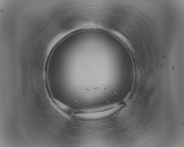 X0000070361335200606231613