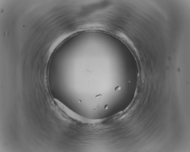 X0000070361336200606231613