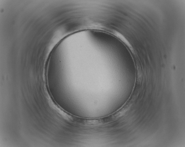 X0000070361339200606231613