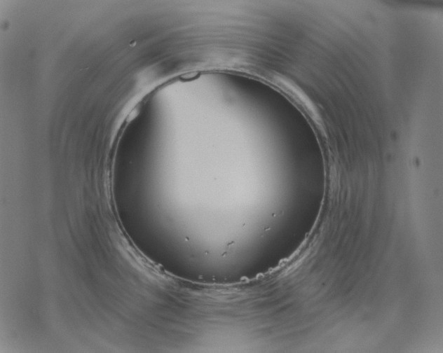 X0000070361340200606231613