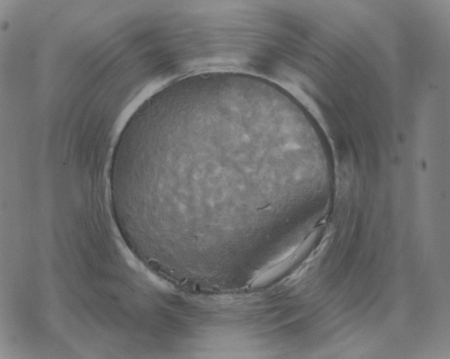 X0000070361341200606231613