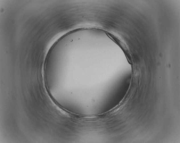 X0000070361343200606231613