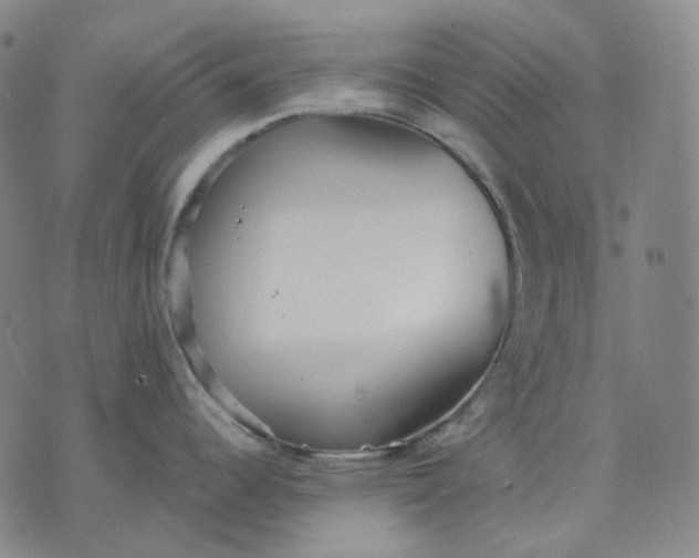 X0000070361344200606231613