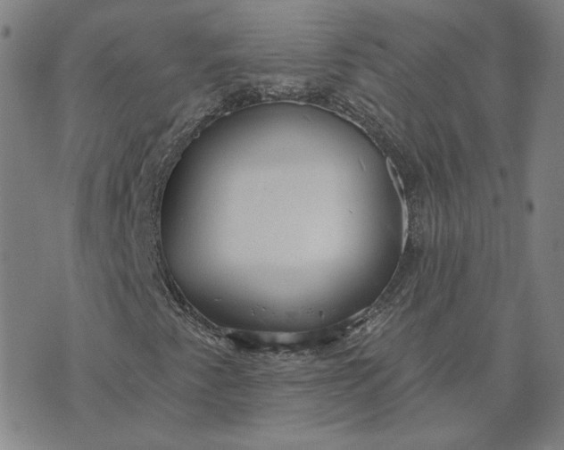 X0000070361345200606231612