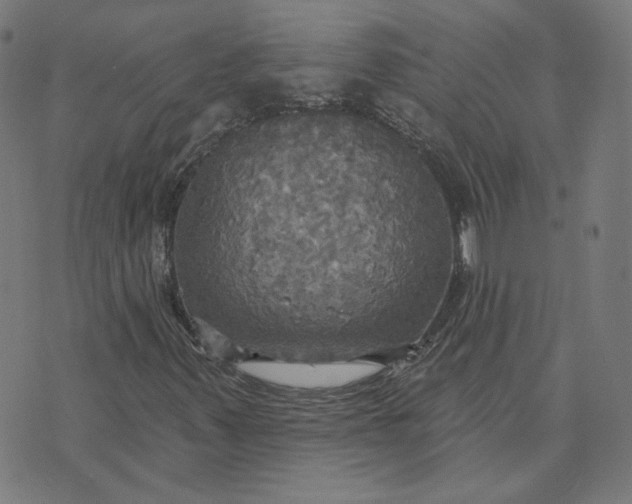 X0000070361347200606231612