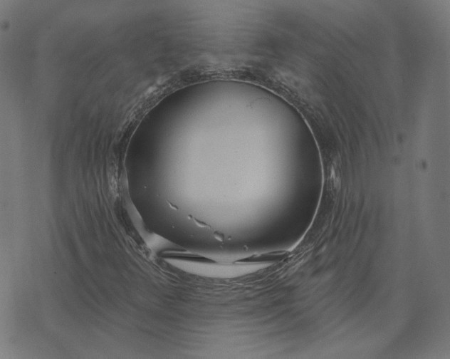 X0000070361348200606231612