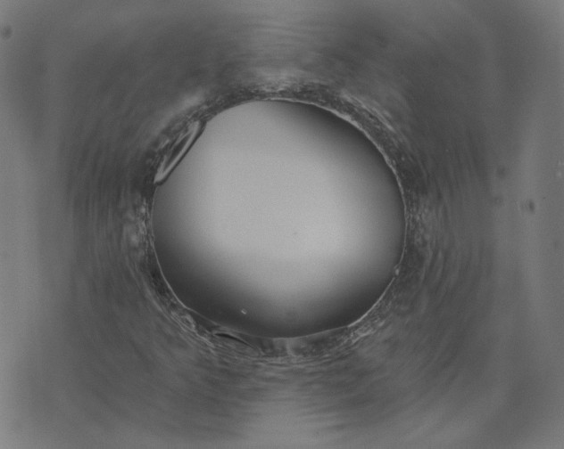 X0000070361349200606231612