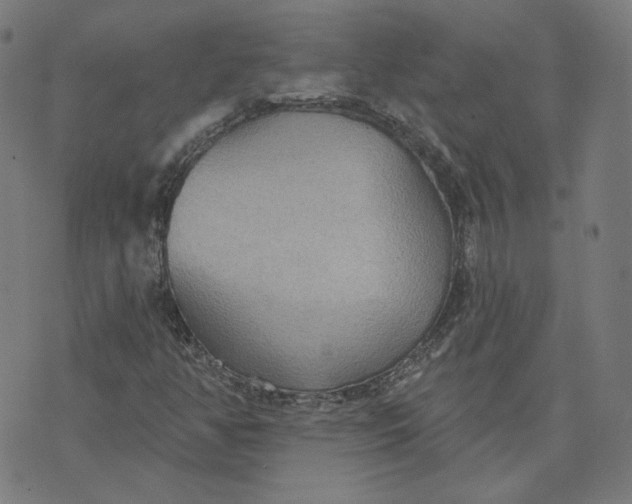 X0000070361350200606231612