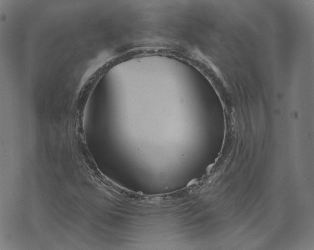 X0000070361352200606231612