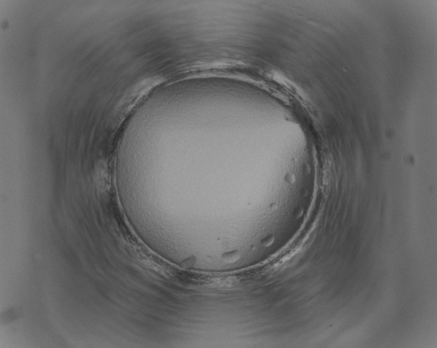 X0000070361353200606231612