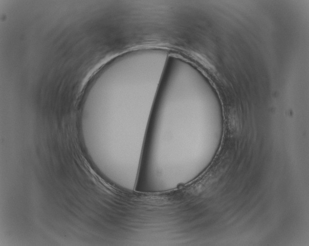 X0000070361356200606231612