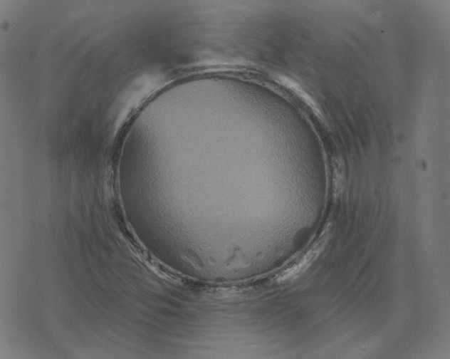 X0000070361357200606231612