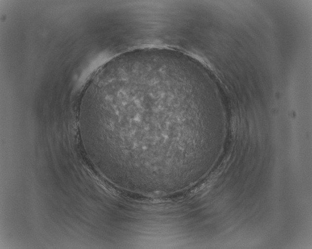 X0000070361359200606231612