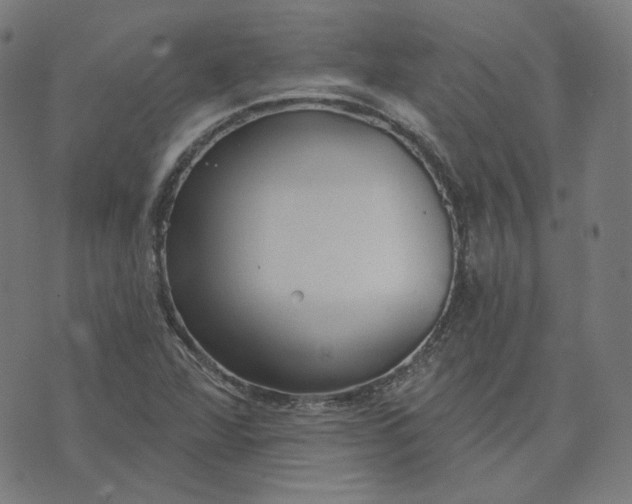 X0000070361360200606231612